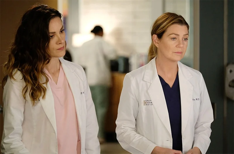 Grey's Anatomy Texas spinoff
