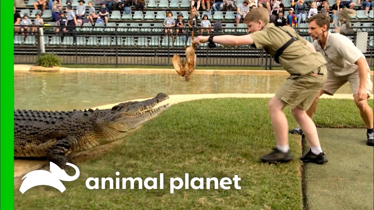 Robert Irwin’s Death‑Roll Scare: How a 14‑Foot Croc Named ‘Jimmy Fallon’ Almost Ended the DWTS Champion’s Life