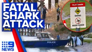 Shocking Fatal Shark Attack Near Perth Leaves Community Reeling
