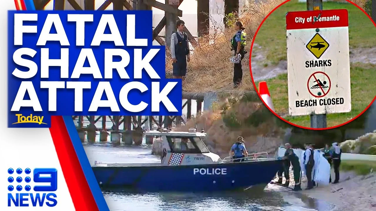 Shocking Fatal Shark Attack Near Perth Leaves Community Reeling